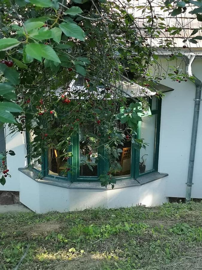 Nyugalomsziget Villa Kotcse Exterior foto