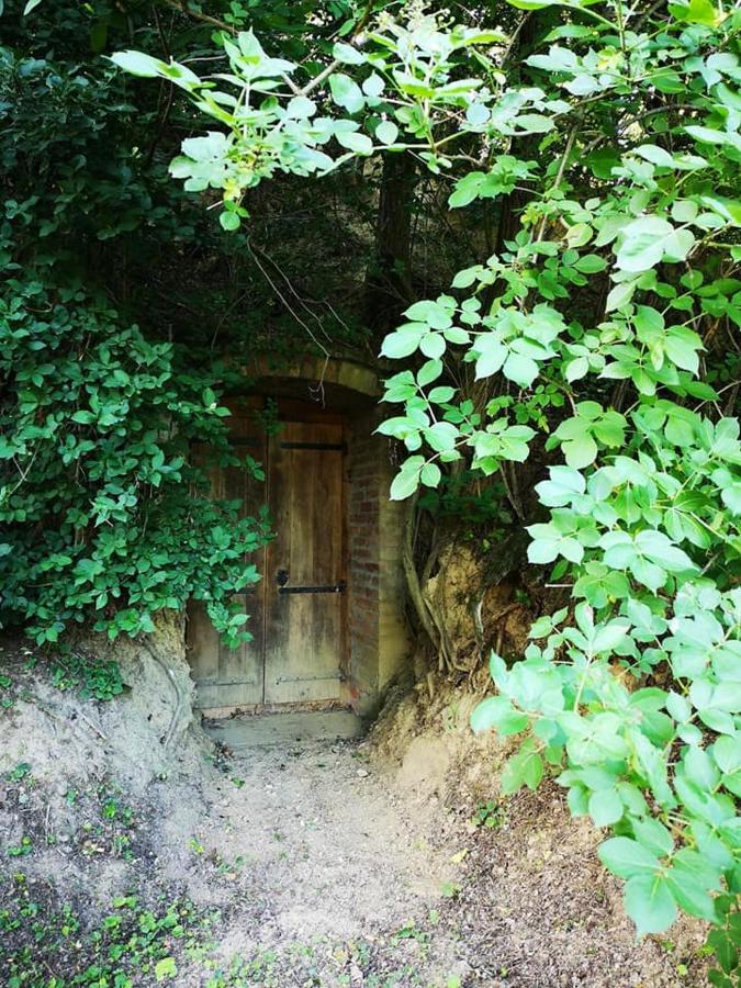 Nyugalomsziget Villa Kotcse Exterior foto
